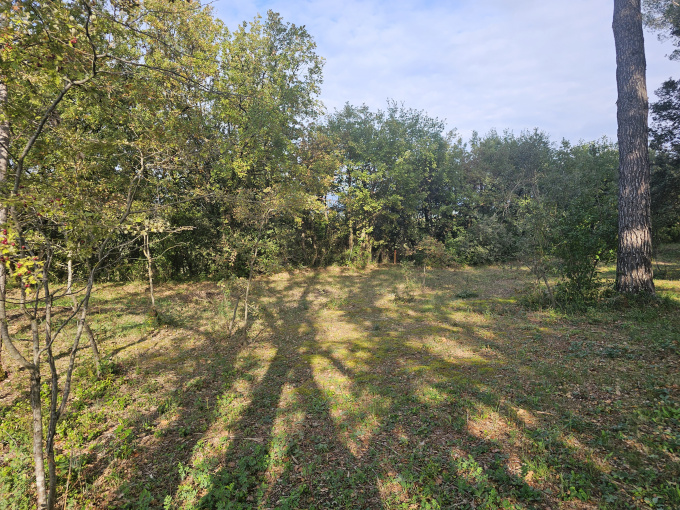 Offres de vente Terrain à batir La Roque-d'Anthéron (13640)